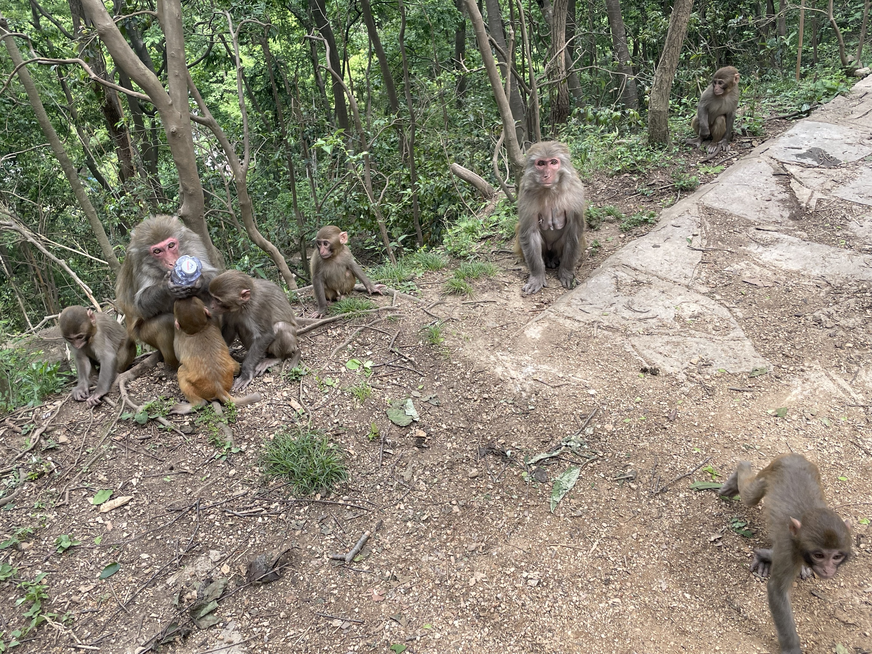 산의 품에 안긴 도시들, 귀양과 안순을 걷다